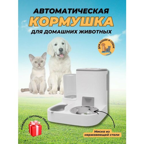 Автоматическая кормушка для кошек и собак
