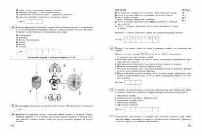 ЕГЭ-2024. Биология. Тематические тренировочные задания - фото №18