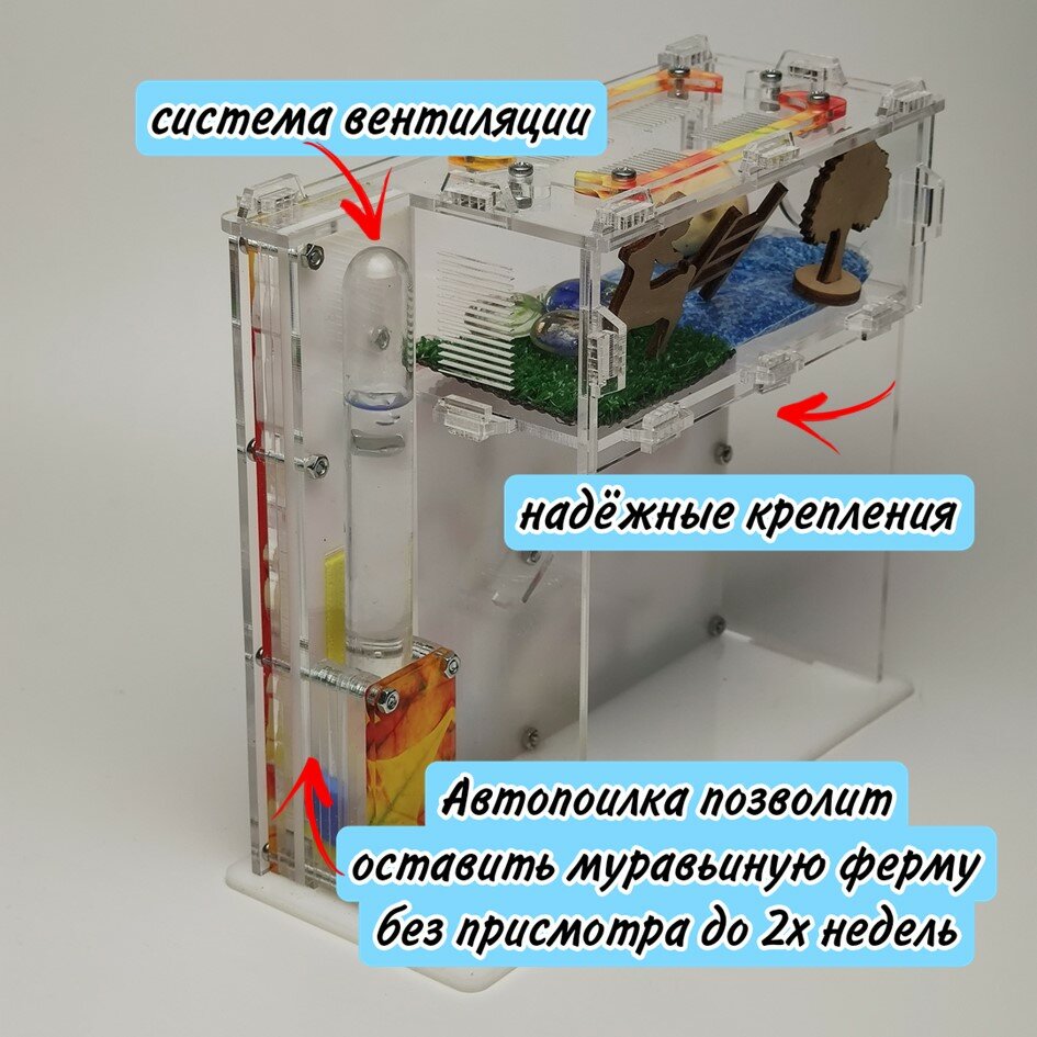 Вертикальная ферма для муравьев спираль "Клён" 19х17 - фотография № 4