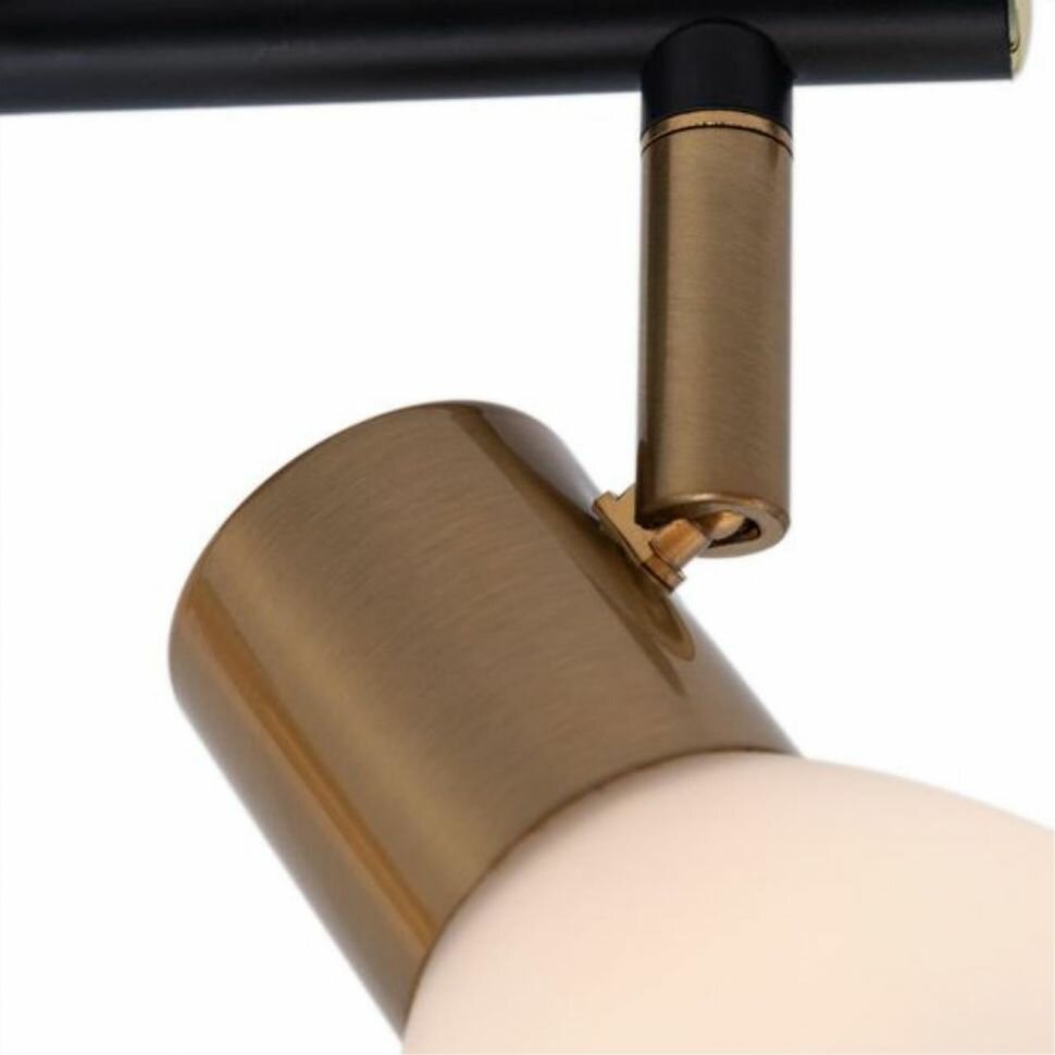 ARTE Lamp #ARTE LAMP A3117PL-2BK светильник потолочный