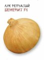 Коллекционные семена лука репчатый Бенефит F1