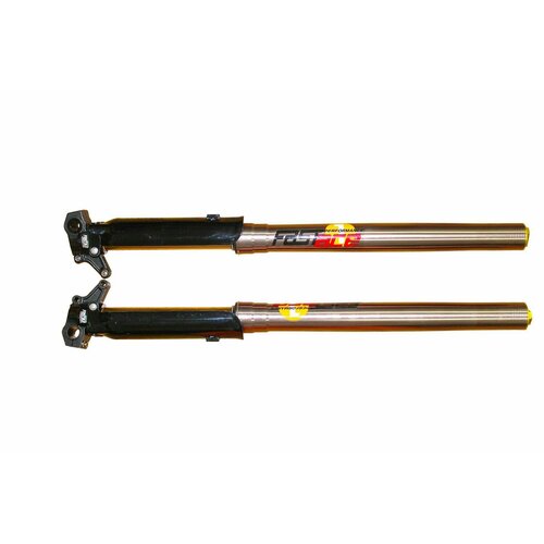 Вилка передняя (перья) Fastace 735 mm 45/48 2 регулировки, под 2 тормозных суппорта