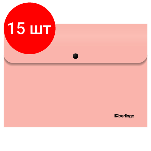 Комплект 15 шт, Папка-конверт на кнопке Berlingo Instinct А4, 330мкм, фламинго