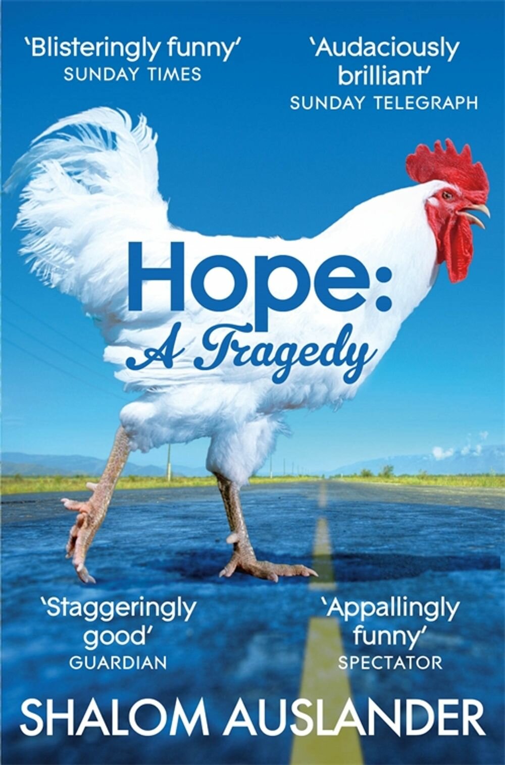 Hope. A Tragedy (Auslander Shalom) - фото №1