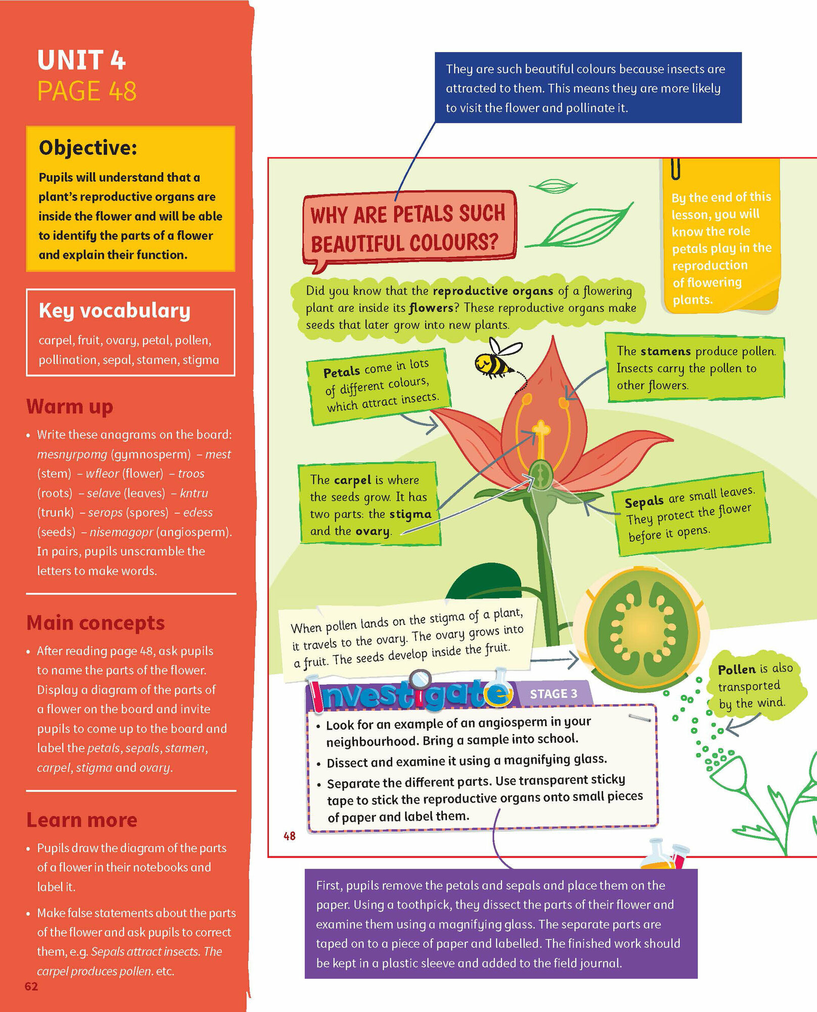 Science Skills. Level 3. Teacher's Book with Downloadable Audio - фото №2
