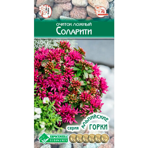 седум очиток форстера оракл 2 пакета семена 10 шт евросемена Очиток ложный соларити /10 семян/ Евросемена/ Серия Альпийские горки