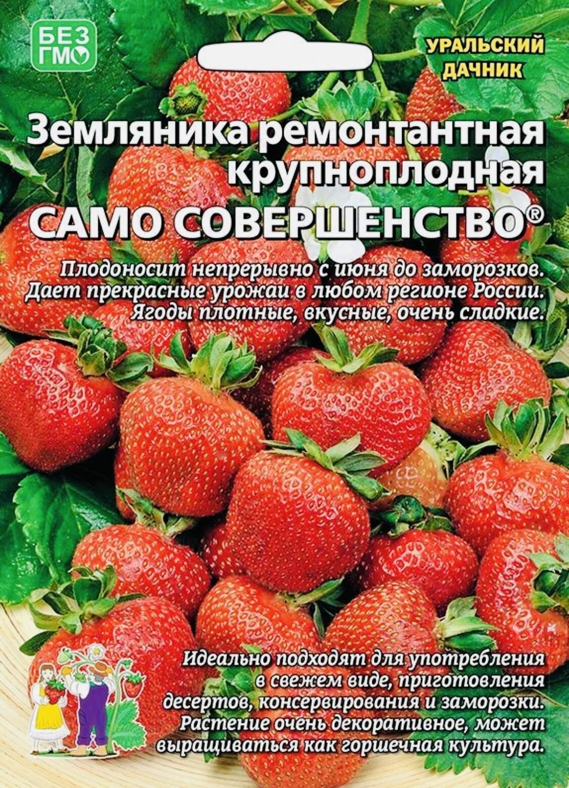 Земляника ремонтантная крупноплодная семена само совершенство 1 пакет семена 05г Уральский Дачник для комнатного выращивания