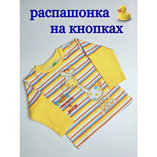 фото Лонгслив , размер 2, желтый без бренда