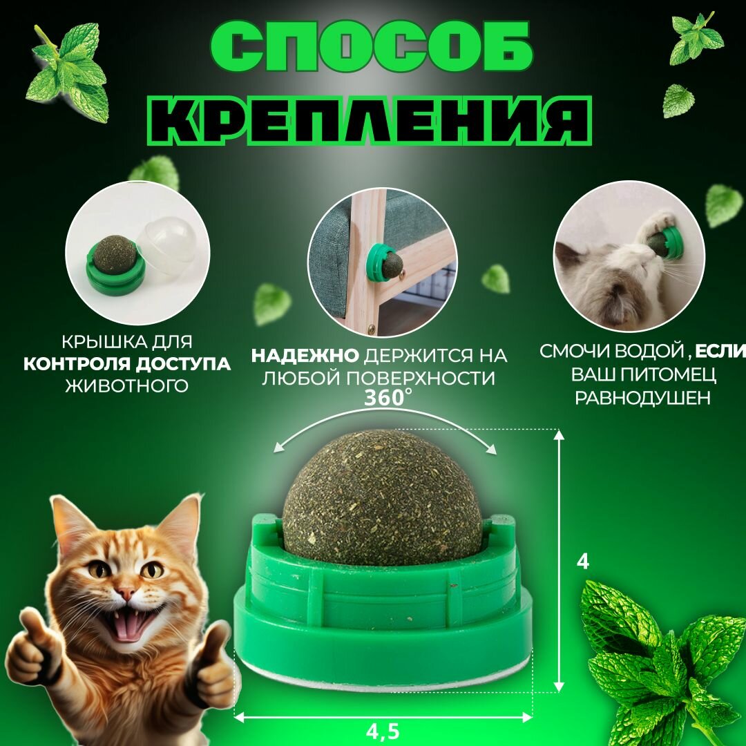 Кошачья мята / Шарик с кошачьей мятой на стену / Лакомство для кошек — фото 1