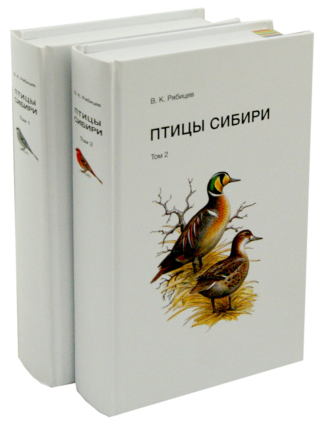 Книга Птицы Сибири в 2-х томах - фото №18