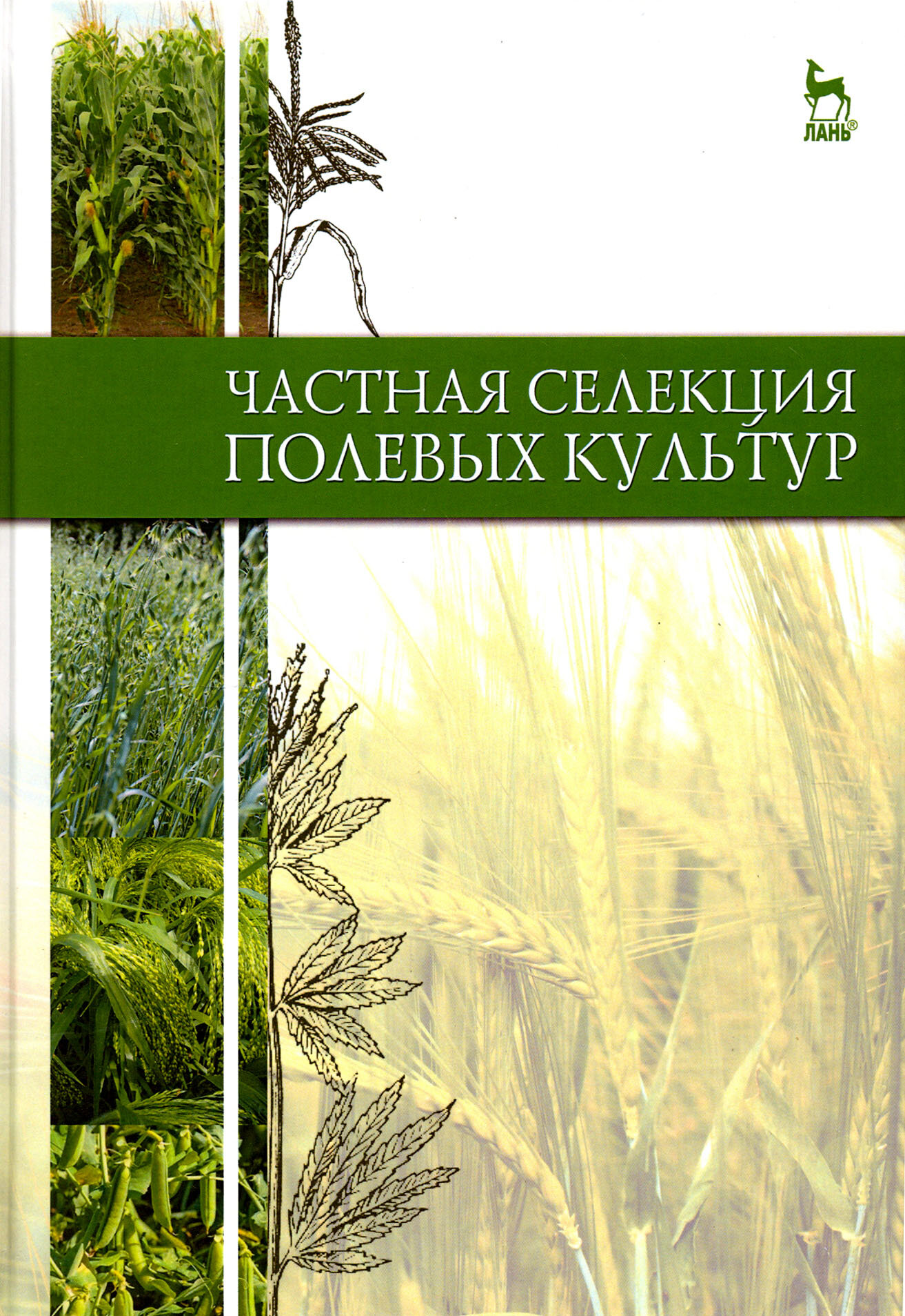 Частная селекция полевых культур. Учебник - фото №2