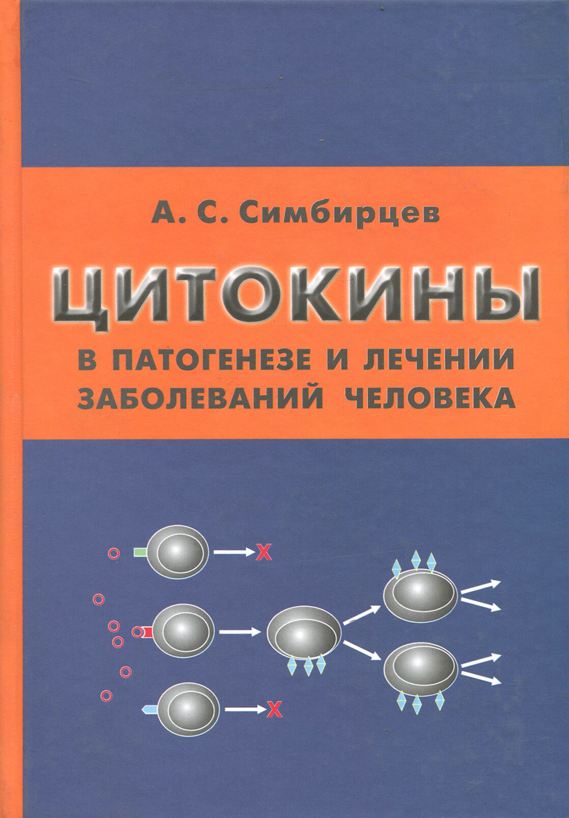 Цитокины в патогенезе и лечении заболеваний человека - фото №2