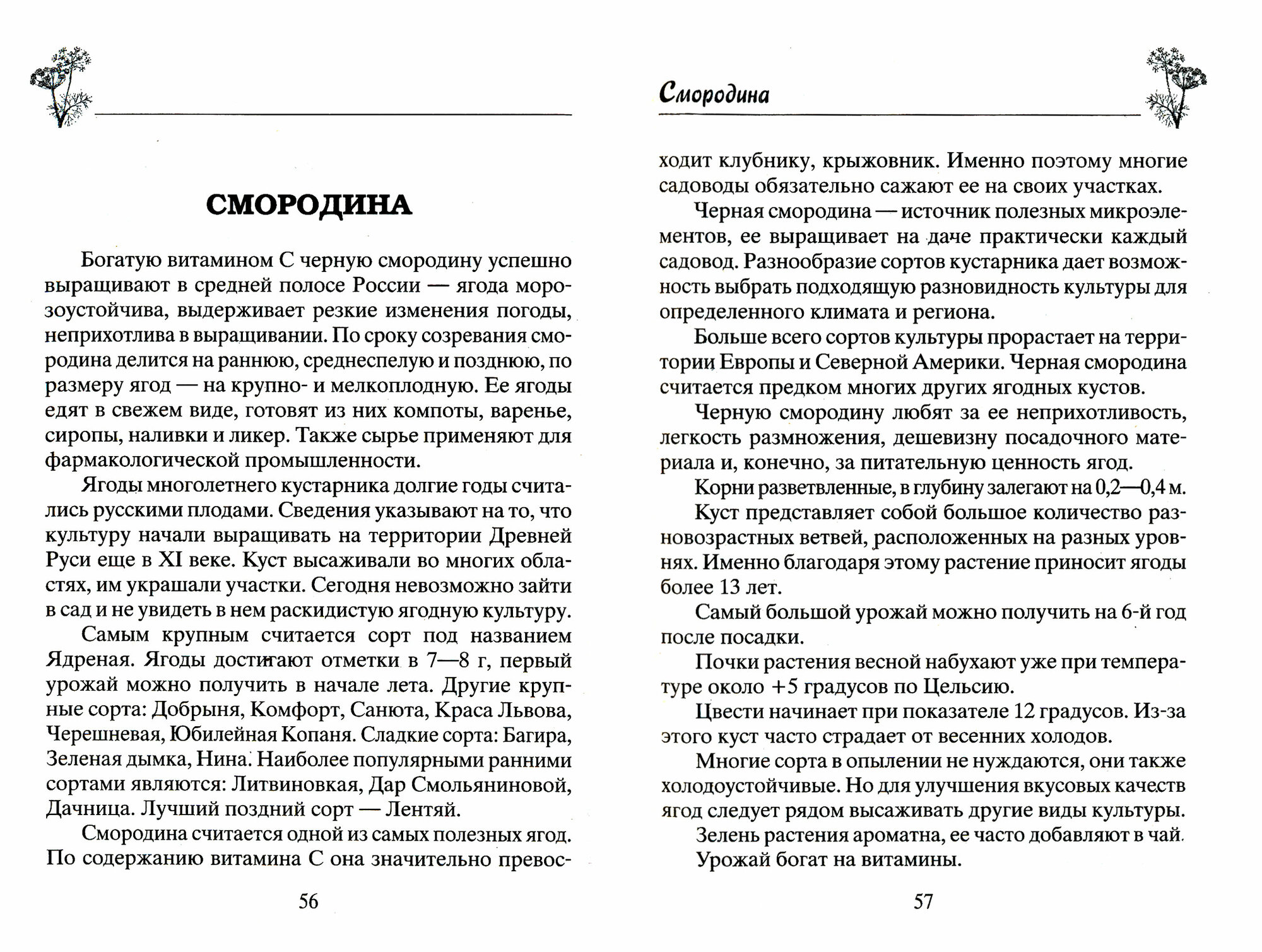 Плодовый сад. Минимум знаний для максимального урожая - фото №2