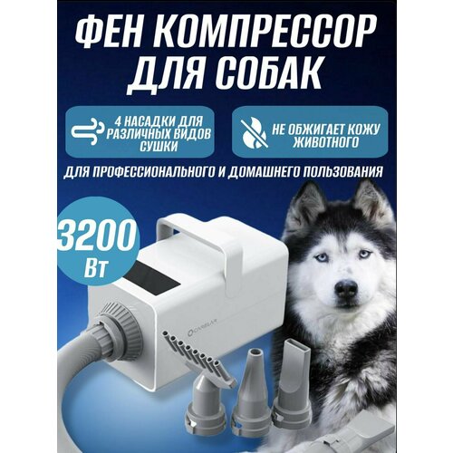 Фен компрессор турбо сушка для животных: кошек, собак и других питомцев с механическим управлением, мощность 3200 Вт с 4 насадками.