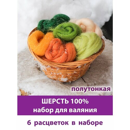 Шерсть для валяния, микс Лес, полутонкая шерсть 100 %, набор 6 цветов, 50 г