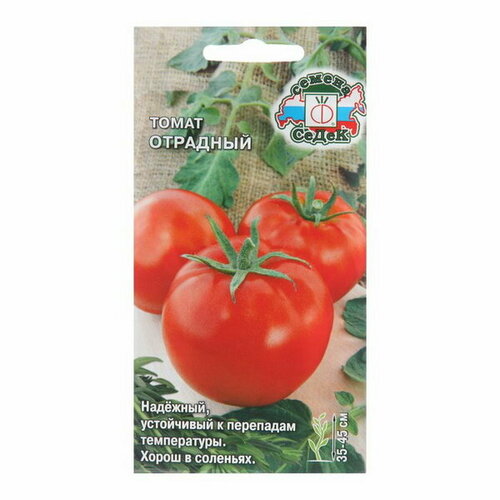 Семена Томат Отрадный, 0.1 г семена седек томат отрадный