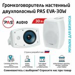 Настенный трансляционный громкоговоритель PASystem EVA-30W - изображение