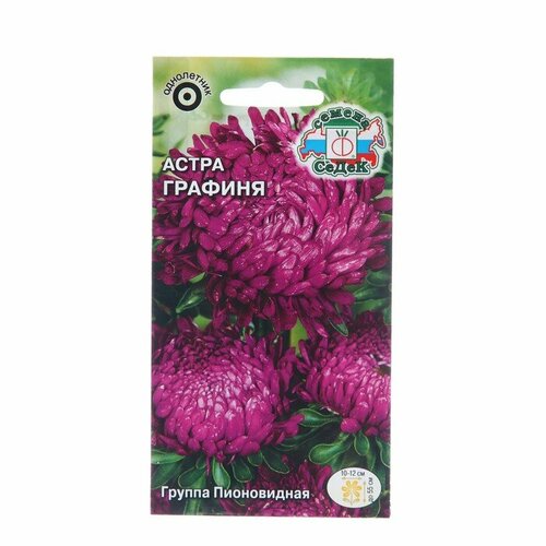 Семена цветов Астра Графиня, Евро, 0,2 г семена цветов астра мюзикл евро 0 2 г