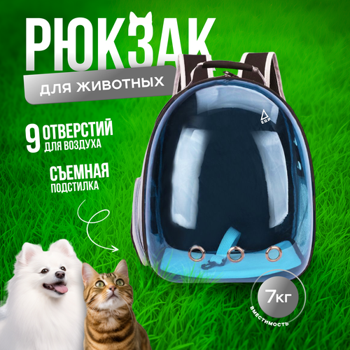 Рюкзак для животных мелких пород черный с затемненной дверцей 2190₽