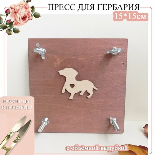 Пресс для гербария. Пресс для сушки листьев, трав и растений