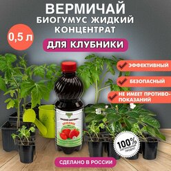 Биогумус Вермичай жидкий жидкий концентрат для клубники 0,5 литр