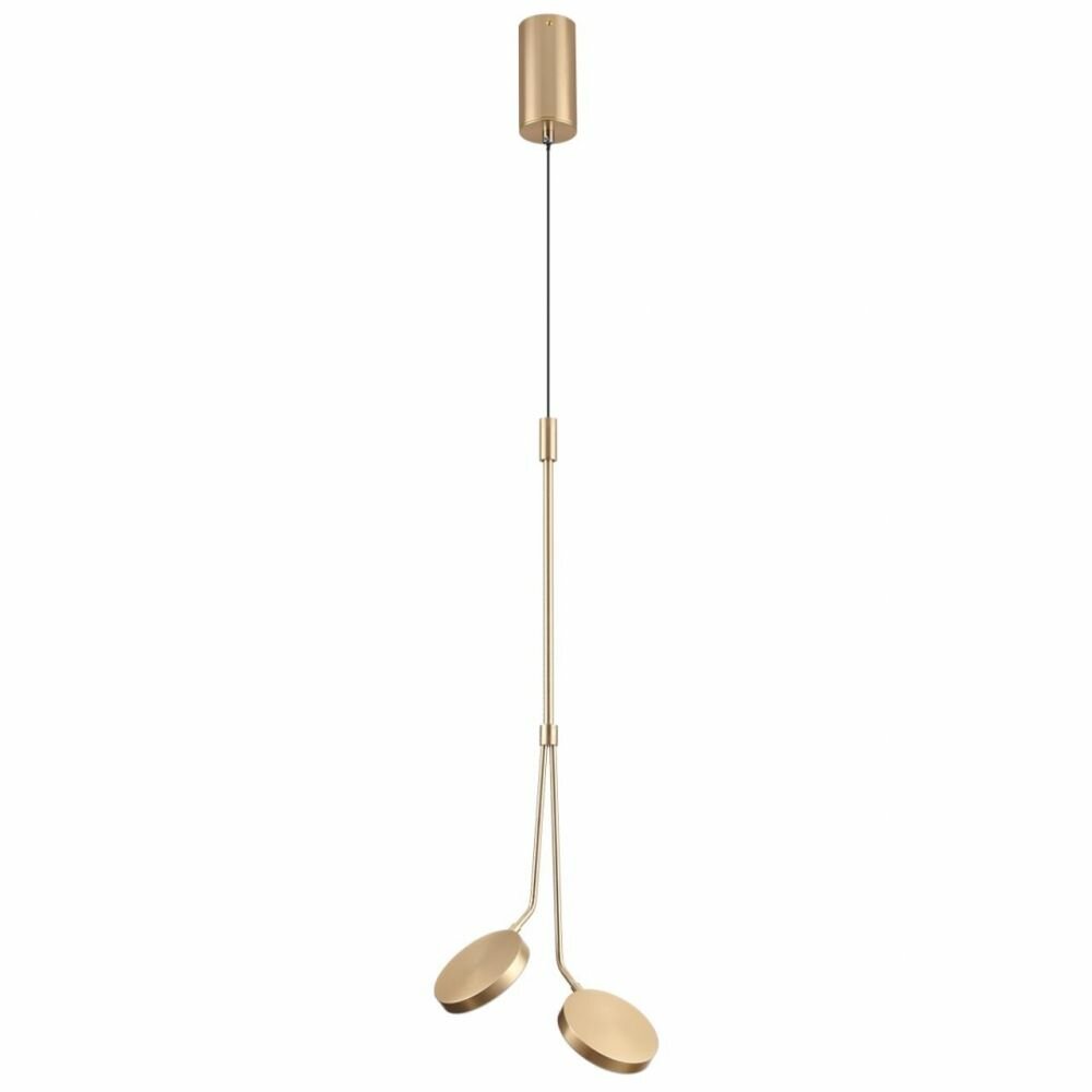 фото Люстры и потолочные светильники Odeon Light 5011/16L