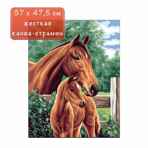 Канва-страмин с рисунком 