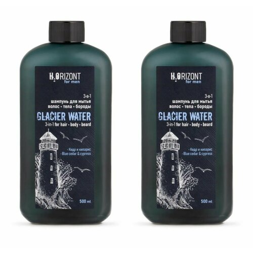 H2ORIZONT Шампунь для мытья волос, тела и бороды Glacier Watеr, 500 мл, 2 штуки/