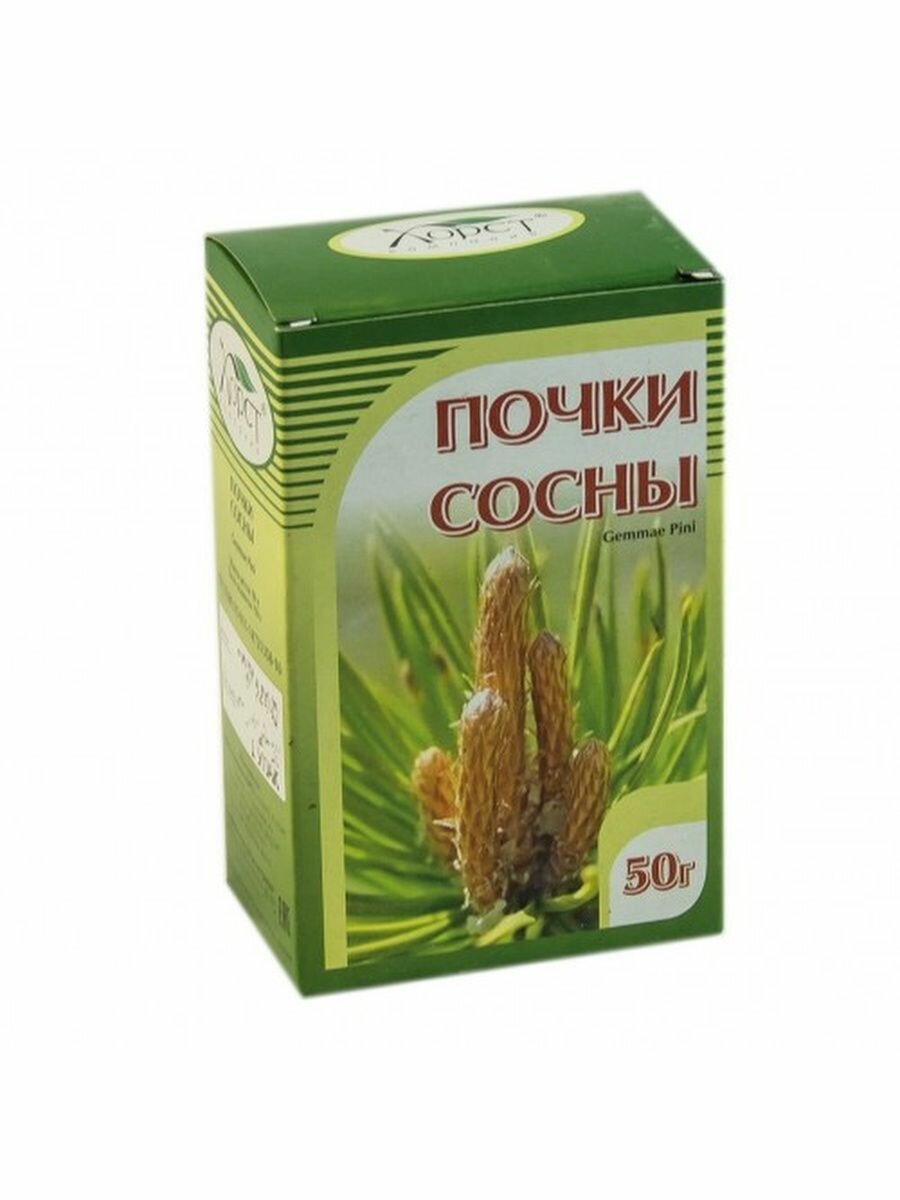 Почки сосны