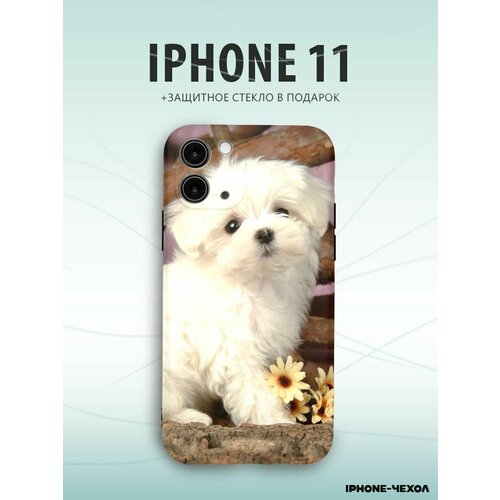 Чехол Iphone 11 собака мальтезе