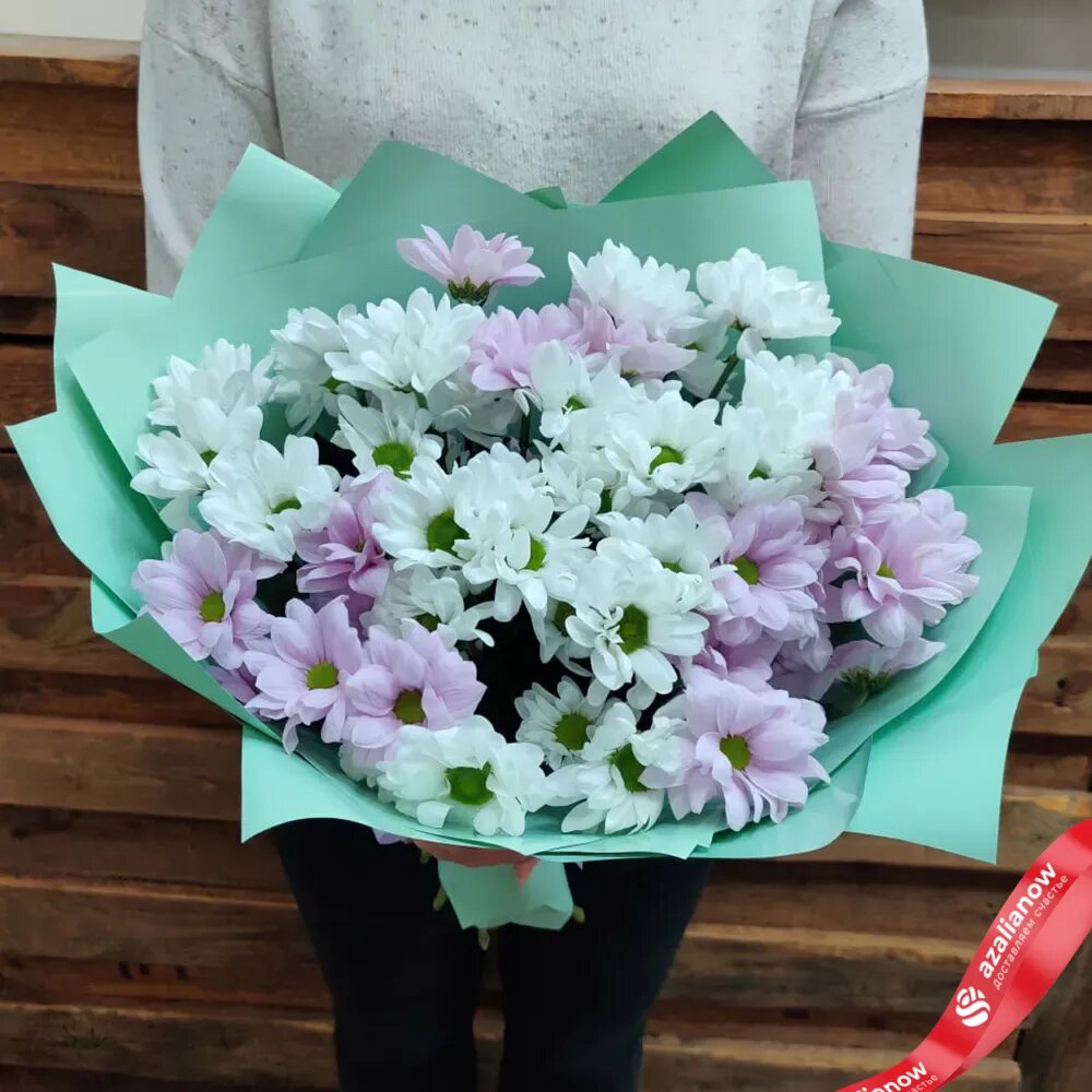 Букет из 9 разноцветных кустовых хризантем оформленных в упаковку, хризантема Голландия микс