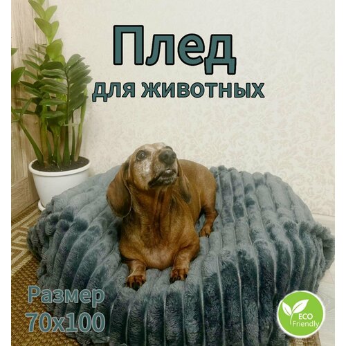 фото Плед для животных, кошек и собак, мелких и средних пород