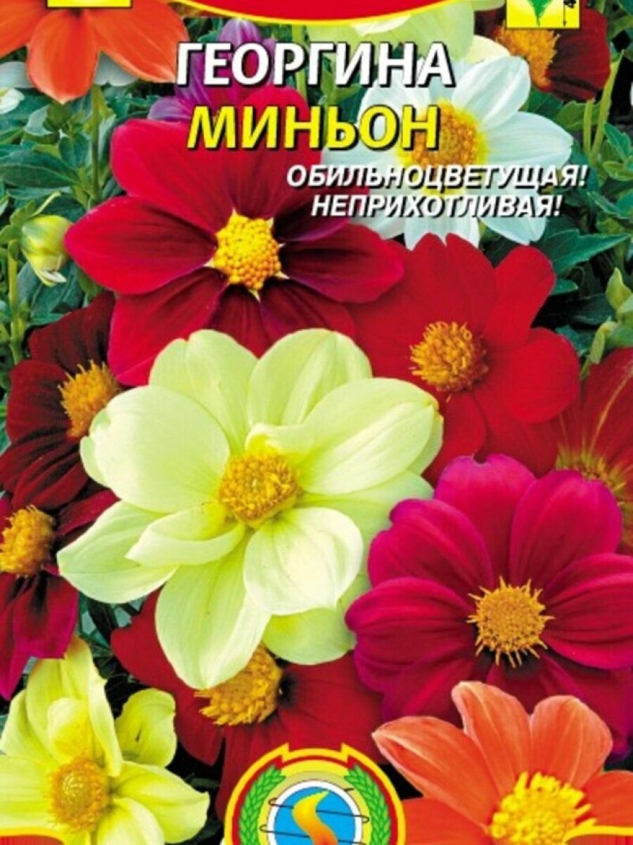 Семена Георгина Миньон 015 гр Плазменные семена
