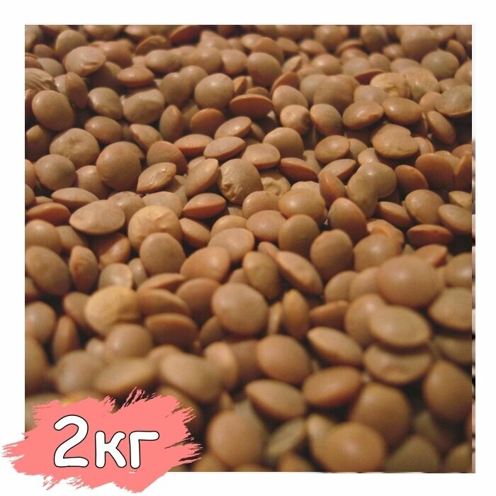 Чечевица коричневая Высший сорт, Вегетарианский продукт, Vegan 2000 гр, 2 кг