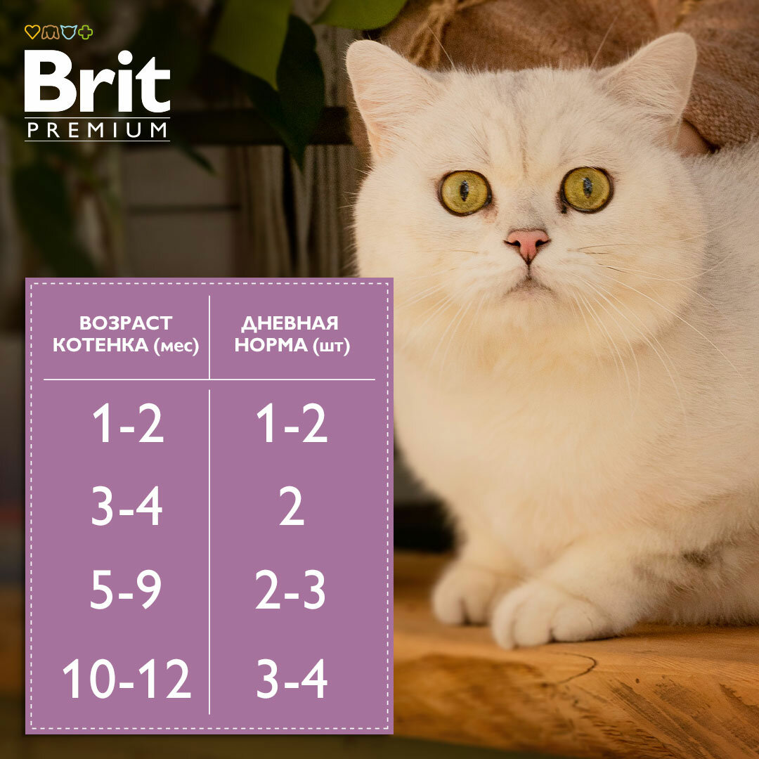 BRIT PREMIUM, Пауч для котят, Кролик в желе, 85г - фотография № 10