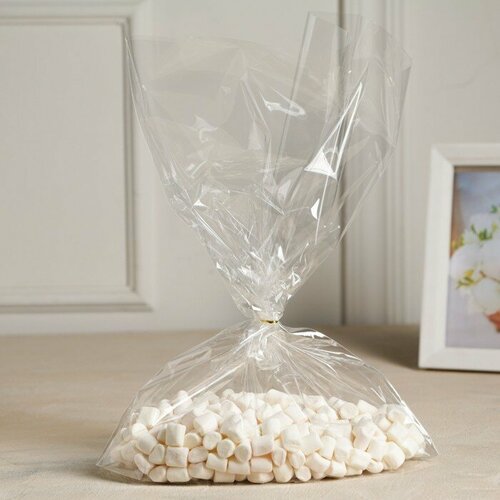 Пакет полипропиленовый фасовочный с донной складкой прозрачный 26364 см 100шт 1201₽