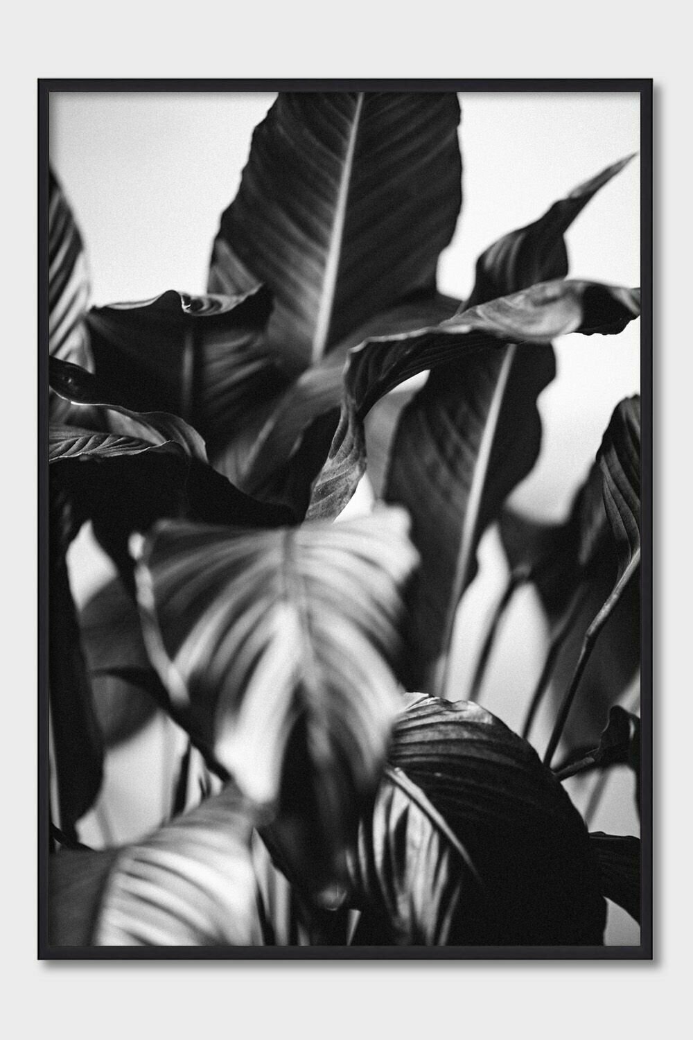 Постер для интерьера Postermarkt 40х50 см в черной рамке Черно-белый #37