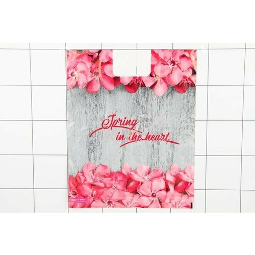 Пакет полиэтиленовый вырубной Весна 37х46 (25 шт.)