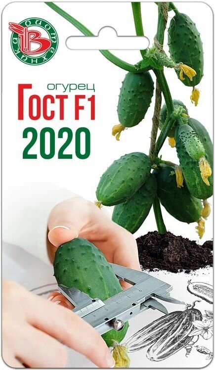 Огурец ГОСТ 2020 F1 8 шт. х 1 упаковка / Биотехника