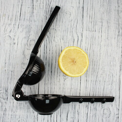 Сквизер алюминиевый Ruiyuan черный 011603 142000₽