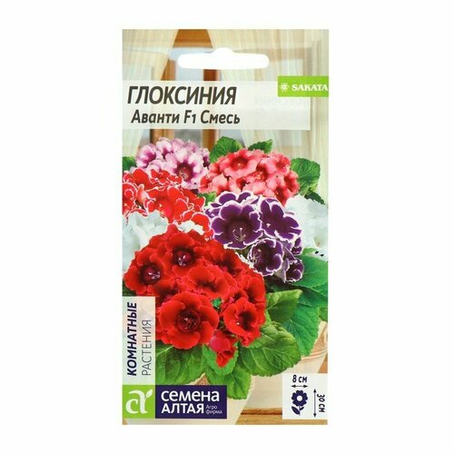 Семена комнатных цветов Глоксиния Аванти "Смесь", F1, 8 шт. (комплект из 7 шт)