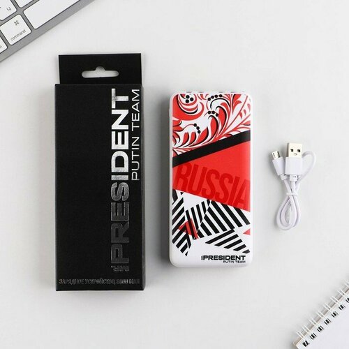 Зарядное устройство Russia 8000мА модель PB-17 145 х 69 см 197800₽