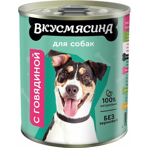 Влажный корм для собак Вкусмясина Говядина 340г х3шт