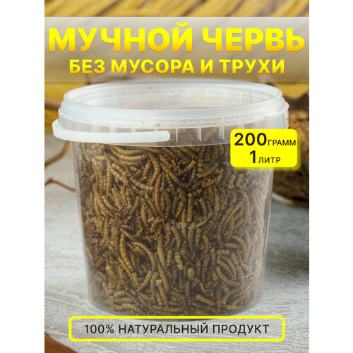 Лакомство мучной червь