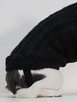 Свитер теплый для кошек и собак, черный, узор косичка, размер M - фотография № 3