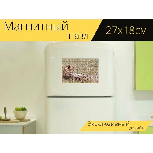 Магнитный пазл Гепард, животное, сафари на холодильник 27 x 18 см. магнитный пазл гепард животное дикий на холодильник 27 x 18 см