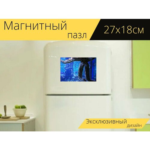 Магнитный пазл Морская звезда, аквариум, вода на холодильник 27 x 18 см. магнитный пазл морская звезда океан звезда на холодильник 27 x 18 см