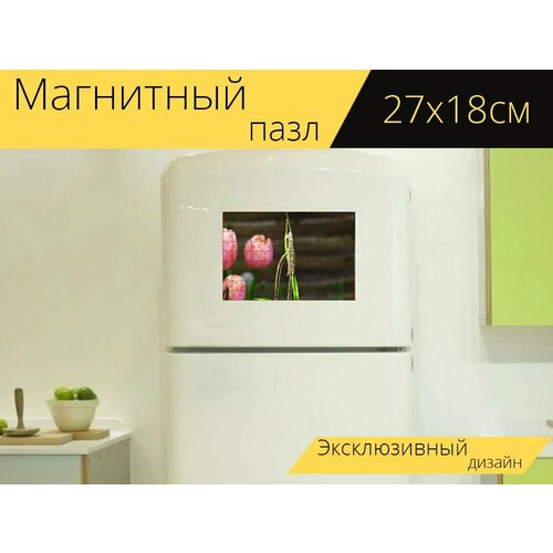Магнитный пазл Осока маятниковая, осока, осока пендула на холодильник 27 x 18 см.