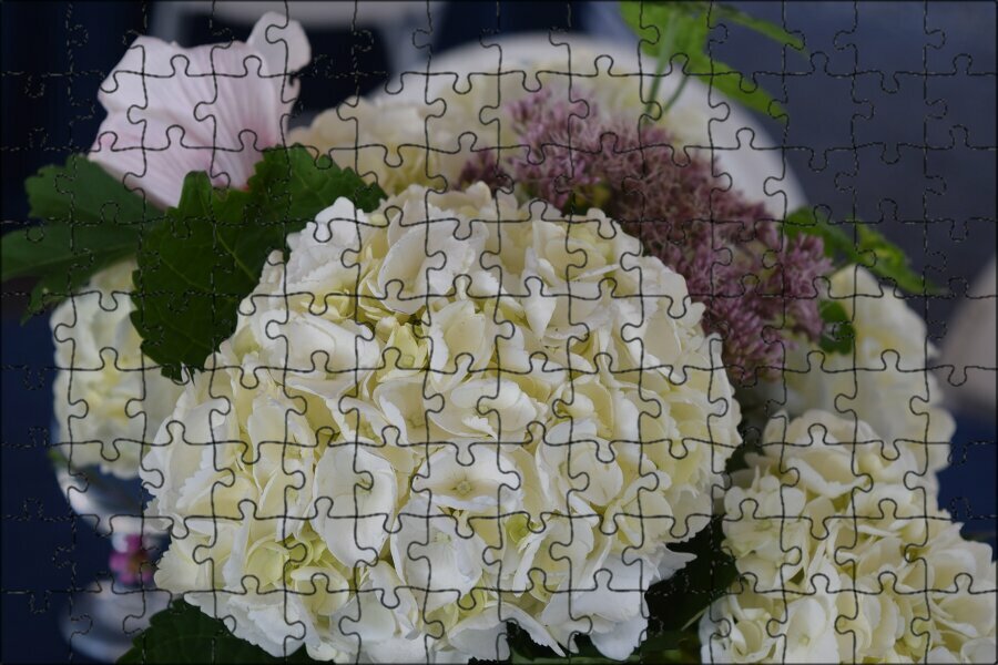 Магнитный пазл "Гортензия, свадебные цветы, белая гортензия" на холодильник 27 x 18 см.