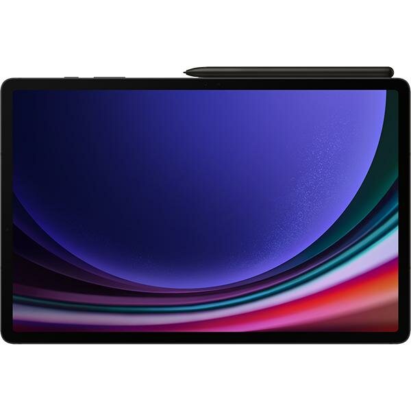 Samsung Galaxy Tab S9 Ultra (2023) 12/512Gb Wi-Fi Graphite (Графит)